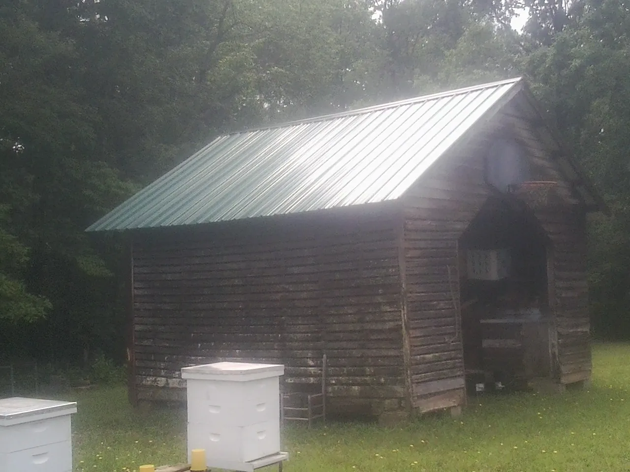 Green metal roof on a weathered barn beside stacked beehives in Tunnelton